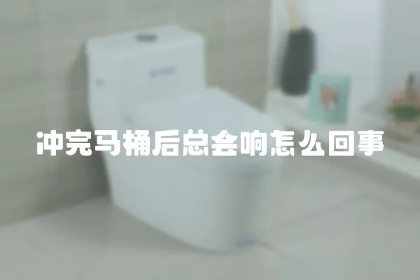 沖完馬桶后總會響怎么回事