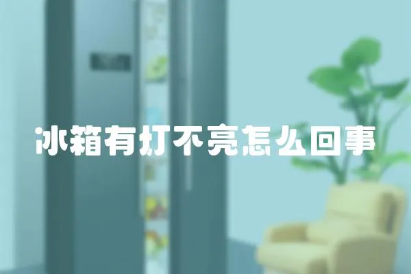 冰箱有燈不亮怎么回事
