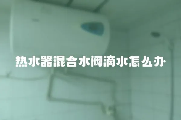 熱水器混合水閥滴水怎么辦