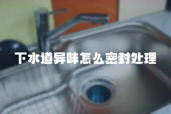 下水道異味怎么密封處理