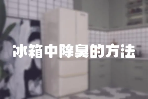 冰箱中除臭的方法