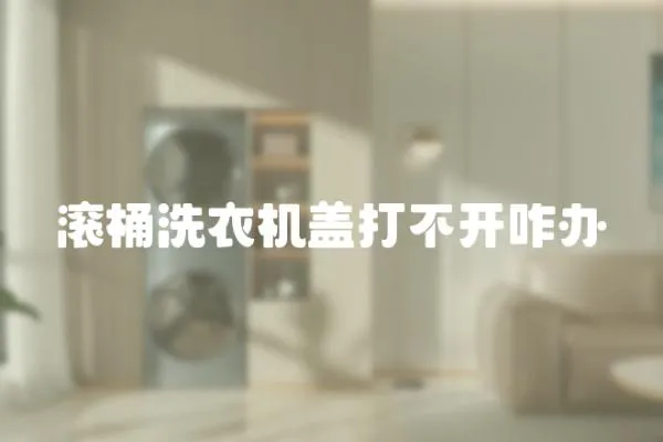 滾桶洗衣機(jī)蓋打不開(kāi)咋辦