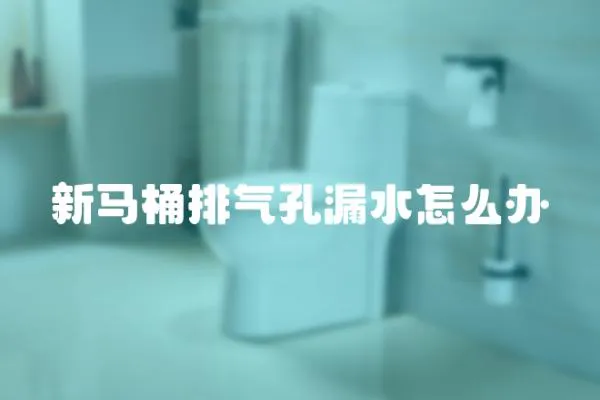 新馬桶排氣孔漏水怎么辦