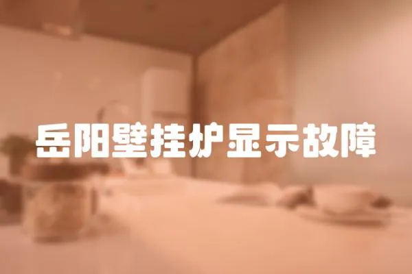 岳陽壁掛爐顯示故障