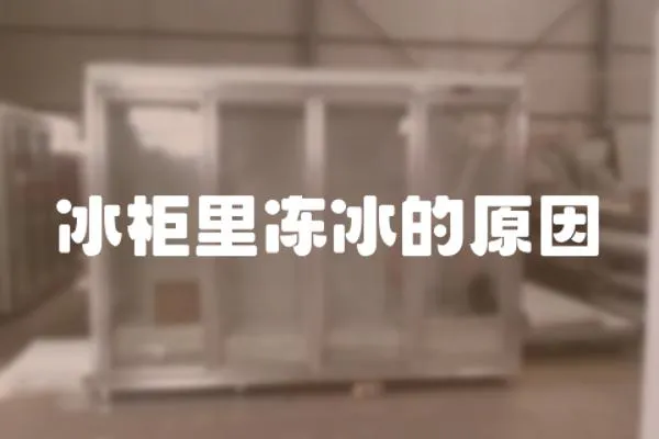 冰柜里凍冰的原因