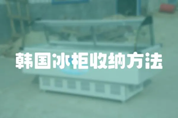 韓國冰柜收納方法