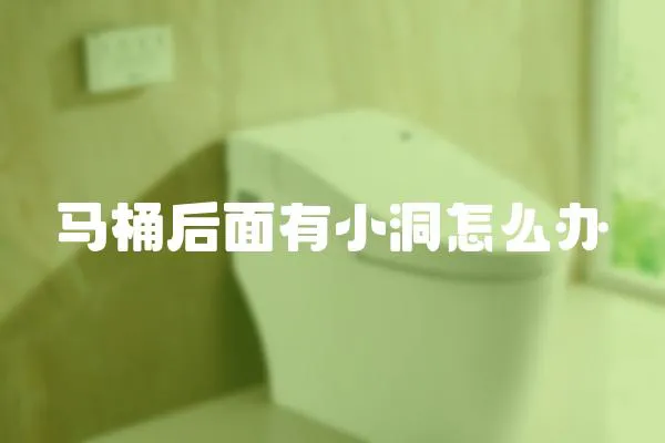 馬桶后面有小洞怎么辦