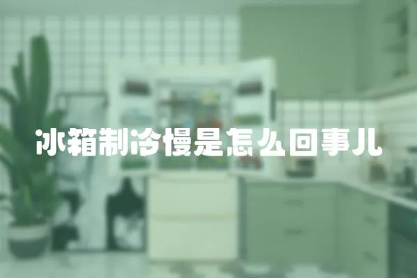 冰箱制冷慢是怎么回事兒