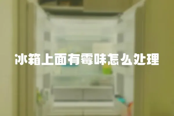 冰箱上面有霉味怎么處理