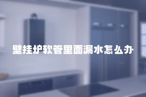 壁掛爐軟管里面漏水怎么辦