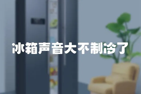 冰箱聲音大不制冷了