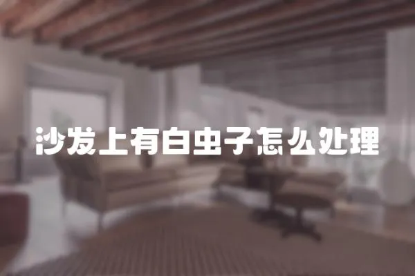 沙發上有白蟲子怎么處理