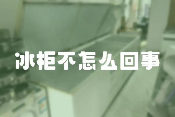 冰柜不怎么回事