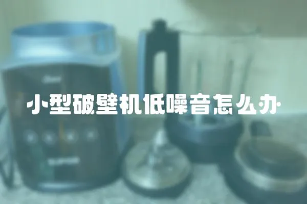 小型破壁機(jī)低噪音怎么辦