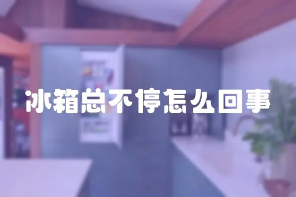 冰箱總不停怎么回事