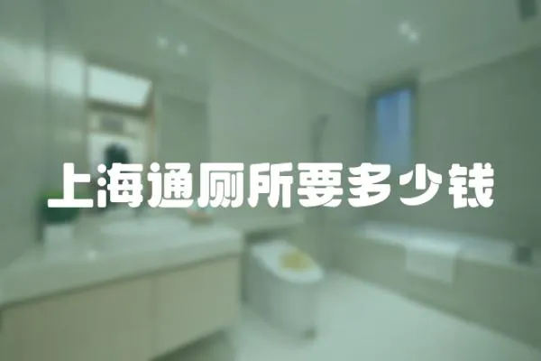上海通廁所要多少錢