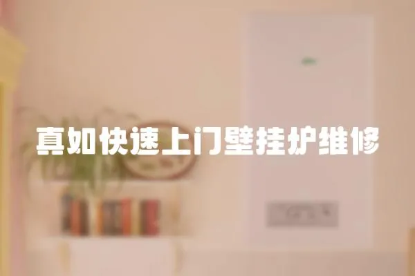 真如快速上門壁掛爐維修