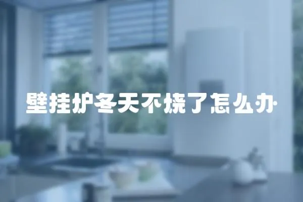 壁掛爐冬天不燒了怎么辦