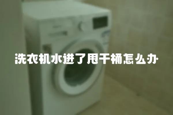 洗衣機水進了甩干桶怎么辦