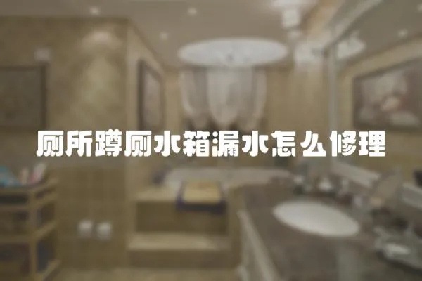 廁所蹲廁水箱漏水怎么修理