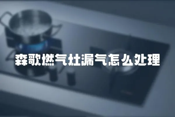 森歌燃氣灶漏氣怎么處理