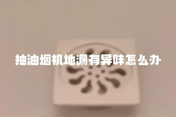 抽油煙機地漏有異味怎么辦