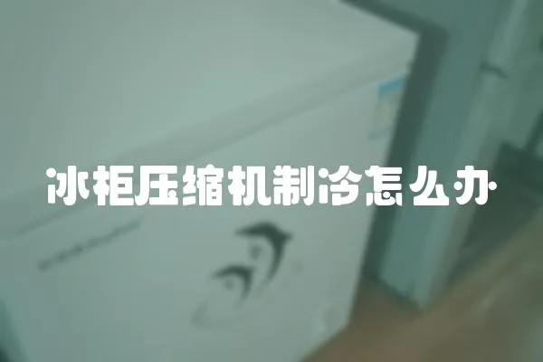 冰柜壓縮機制冷怎么辦