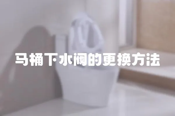 馬桶下水閥的更換方法