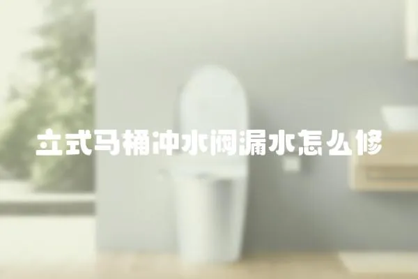 立式馬桶沖水閥漏水怎么修