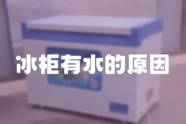 冰柜有水的原因