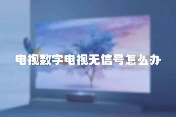 電視數(shù)字電視無信號怎么辦