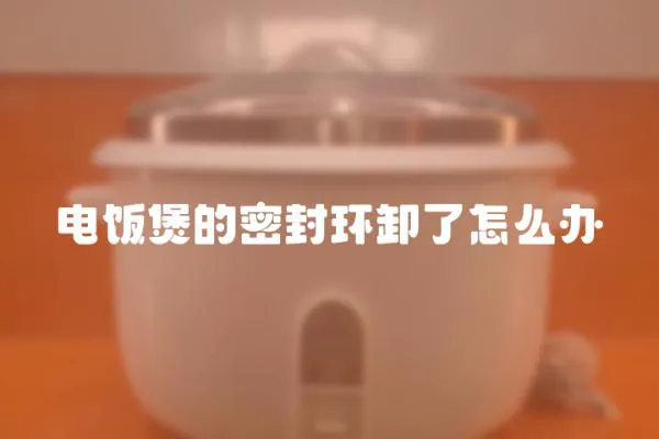 電飯煲的密封環(huán)卸了怎么辦
