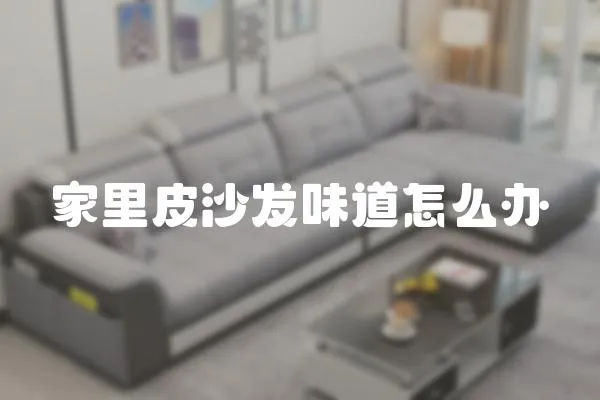 家里皮沙發味道怎么辦