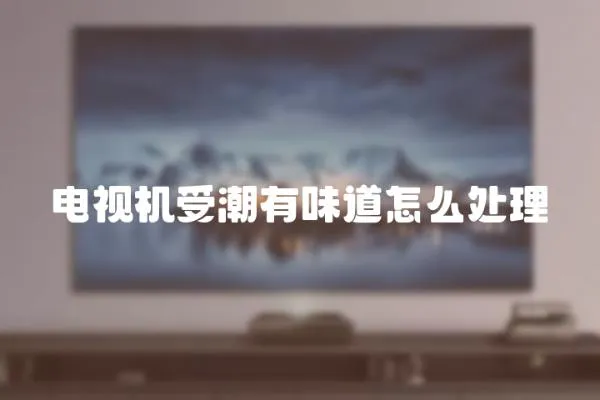 電視機(jī)受潮有味道怎么處理