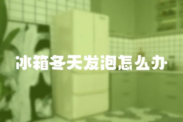 冰箱冬天發(fā)泡怎么辦