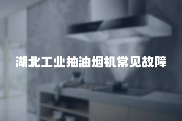 湖北工業(yè)抽油煙機常見故障