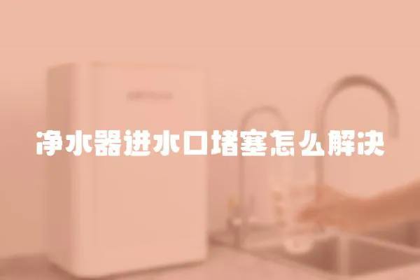 凈水器進水口堵塞怎么解決