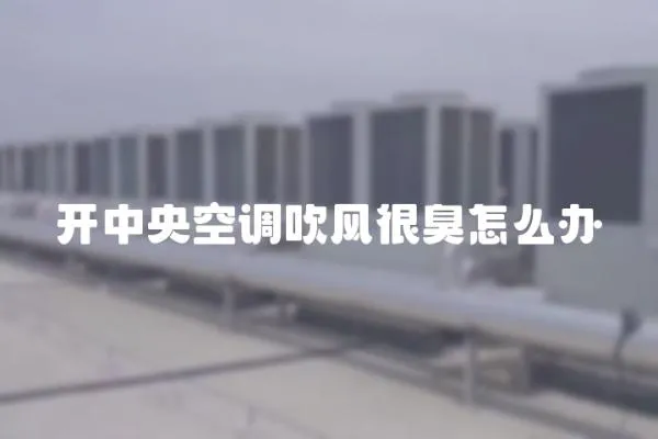開中央空調吹風很臭怎么辦