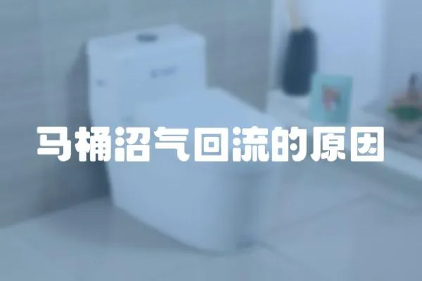 馬桶沼氣回流的原因