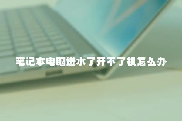筆記本電腦進水了開不了機怎么辦
