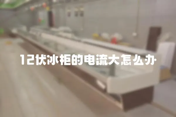 12伏冰柜的電流大怎么辦