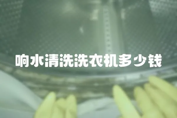 響水清洗洗衣機多少錢