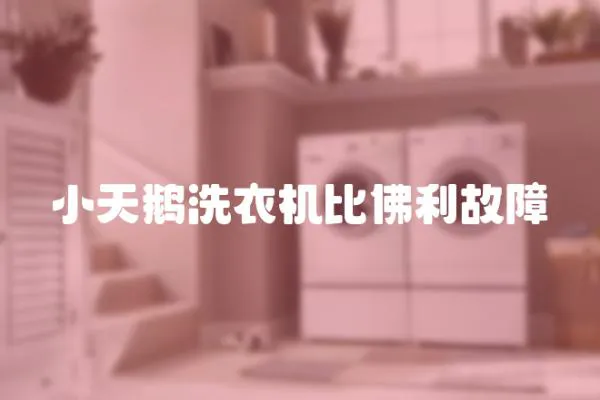 小天鵝洗衣機比佛利故障