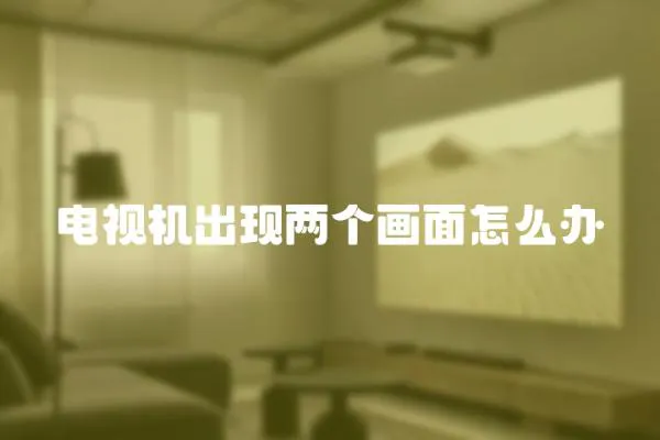 電視機(jī)出現(xiàn)兩個畫面怎么辦