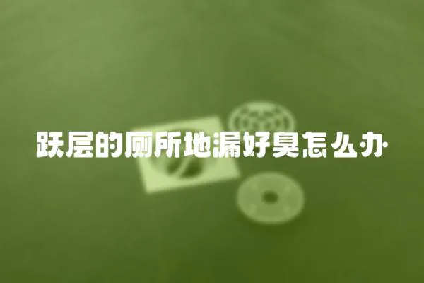 躍層的廁所地漏好臭怎么辦