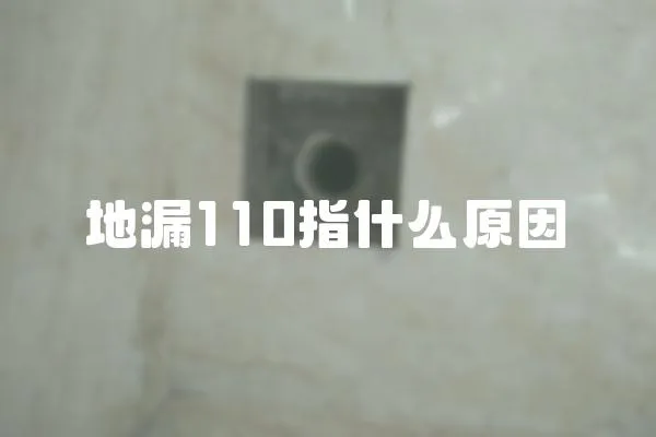 地漏110指什么原因