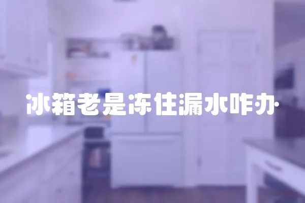 冰箱老是冻住漏水咋办