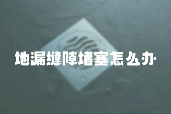 地漏縫隙堵塞怎么辦