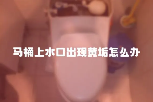 馬桶上水口出現黃垢怎么辦