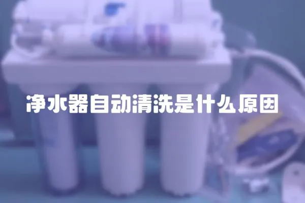 凈水器自動清洗是什么原因